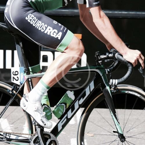 image-copyright (34) Aliquam Sodales