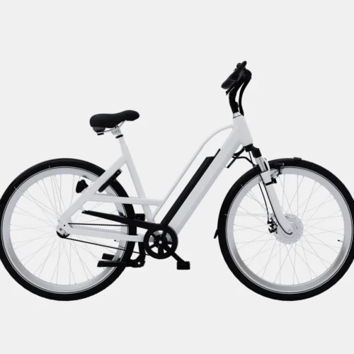 product-image-1 Accumsan Nulla