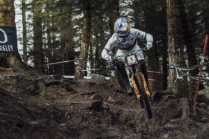 Bike Chain Lubrication - The Ultimate Guide to Efficiency, Longevity & Sustainability