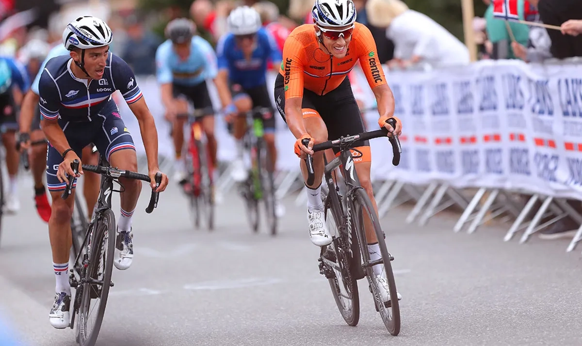 Carbon vs Steel Spokes - Best Choice for Your Bike Wheels