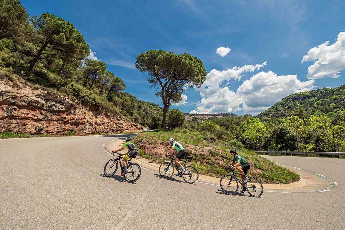 Road Bike Tire Size Guide - Width, Diameter & Performance Explained