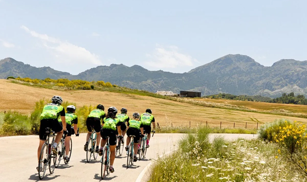 The Ultimate Carbon Road Bike Saddle Guide - Fit, Comfort & Performance