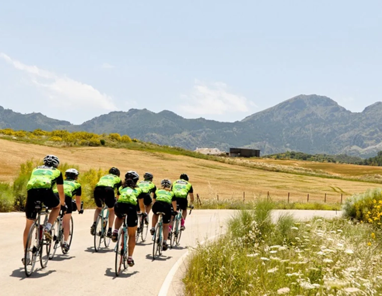 The Ultimate Carbon Road Bike Saddle Guide - Fit, Comfort & Performance