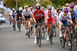 The Ultimate Guide to Bike Cassettes - Selection, Compatibility & Maintenance