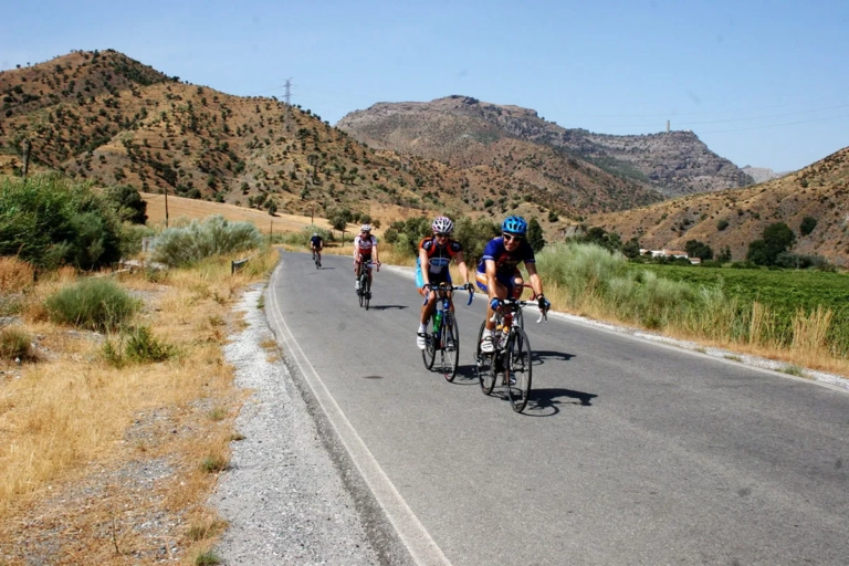 The Ultimate Guide to Rear Derailleurs - Selection, Installation & Troubleshooting